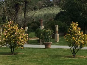 Hotel Albergo Villa Marta - View from room