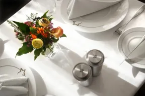 Hôtel Princesse Flore Royat - Restaurant