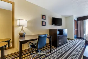 Comfort Inn & Suites Triadelphia - Wheeling - Chambre