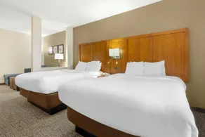 Comfort Suites Greensboro-High Point - Chambre