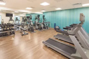 Holiday Inn Express & Suites - Indianapolis NW - Zionsville by IHG - Fitnessbereich