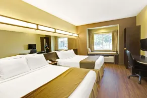 Microtel Inn & Suites by Wyndham Bryson City - Chambre