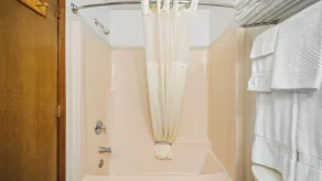 Clarion Hotel & Suites Fairbanks near Ft Wainwright - Salle de bain