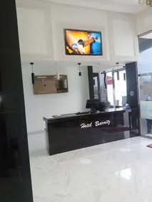Hotel Biarritz - Resepsjon