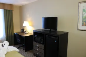 Baymont Inn & Suites by Wyndham Fort Myers I-75 - Chambre