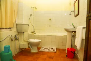 Standard Double Room-wayanad - Baño