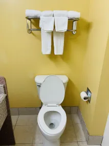Mountain inn & suites - Dunlap TN - Badezimmer