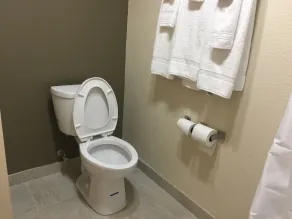 Quality Inn & Suites Florence - Cincinnati South - Salle de bain