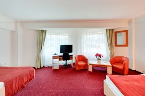 Hotel Cornul Vanatorului - Room