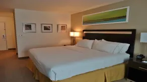 Holiday Inn Express and Suites Montgomery by IHG - Chambre