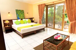 Ayurveda Spring Of Life Resort - Chambre