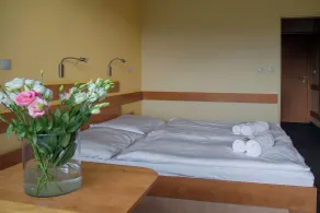 ibis Styles Relax Roznov pod Radhostem - Habitación