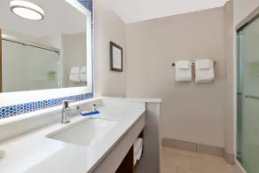 Holiday Inn Express- Eau Claire West I-94 by IHG - Badeværelse