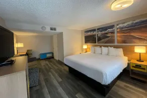 Days Inn and Suites by Wyndham Port Huron - Værelse