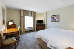Hampton Inn & Suites Blairsville - Chambre