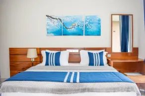 Flaming Tree Resorts - Rom