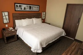 Hampton Inn by Hilton Irapuato - Room