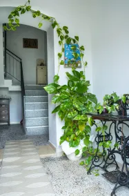 Bed And Breakfast Villa Bianca - Indgang