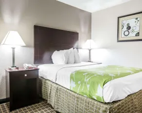 Econo Lodge Birmingham - Hoover - Chambre