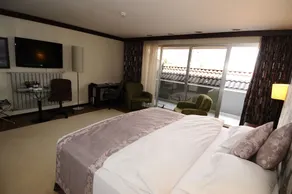 Ontur Butik Otel Ankara - Boutique Class - Room