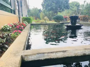 Jing Guan Yuan - Piscina