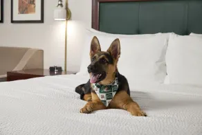 Ohio University Inn and Conference Center - Chambre