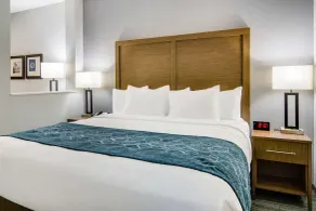 Comfort Suites DeSoto Dallas South - Chambre