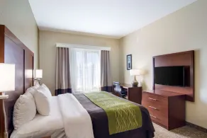Comfort Inn Blackshear Hwy 84 - Room