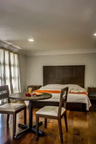 Hotel Real del Oro - Room