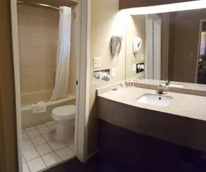 Econo Lodge Inn & Suites - Salle de bain