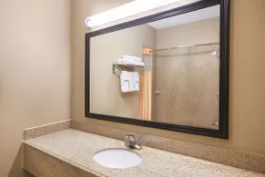 La Quinta by Wyndham Bay City - Salle de bain