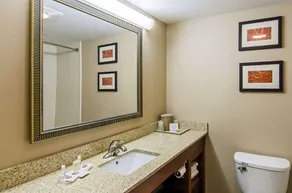 Comfort Suites Wytheville near Conference Center - Salle de bain