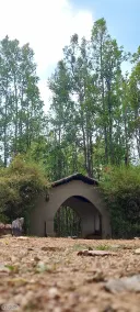 Saccharum Safari Lodge - Interior entrance
