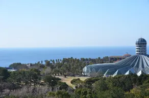 Aria Hotel Jeju - Vista do quarto