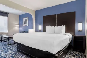 Best Western Canton Inn - Værelse