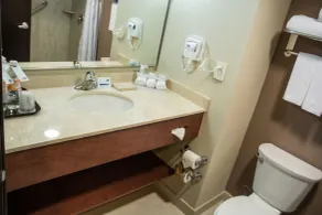 Holiday Inn Express Guadalajara Aeropuerto by IHG - Chambre