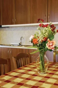 Karyon Apartments - Cuisine privée