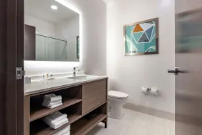 Comfort Suites Cottage Grove-Madison - Salle de bain