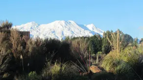 Tongariro Suites - Vue de la chambre