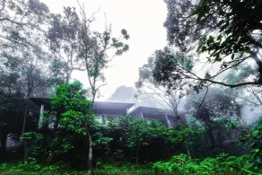 Wayanad Wild - A CGH Earth Experience - View from room