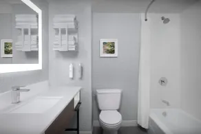 Hampton Inn Ithaca - Salle de bain