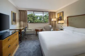 Delta Hotels by Marriott Swindon - Habitación