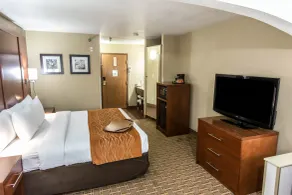 Comfort Inn & Suites Springfield I-44 - Chambre