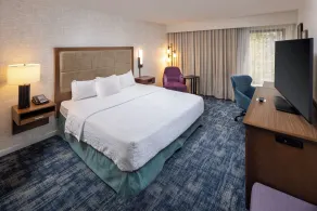 Hampton Inn & Suites Asheville Airport - Chambre