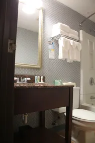 Quality Inn Cortland - University Area - Salle de bain