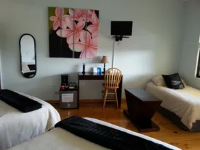Out of Bounds Boutique Hotel - Room
