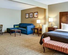 Comfort Inn & Suites Bryant - Benton - Chambre
