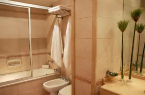 Wilton Hotel - Baño
