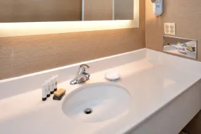 Comfort Inn & Suites Susanville - Salle de bain