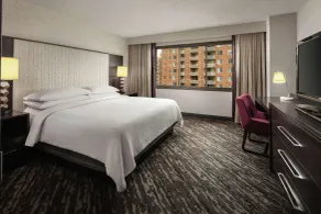 Embassy Suites by Hilton Crystal City National Airport - Chambre